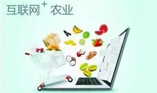 農(nóng)村電商十大發(fā)展趨勢(shì) 擁抱變革，賦能鄉(xiāng)村經(jīng)濟(jì)